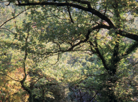 Odes maritimes, frontières et migrants au programme des Écrans documentaires 2015