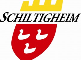 La ville de Schiltigheim recherche un-e réalisateur-trice de webdocumentaire