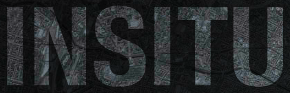 INSITU : entretien multimédia avec Antoine Viviani