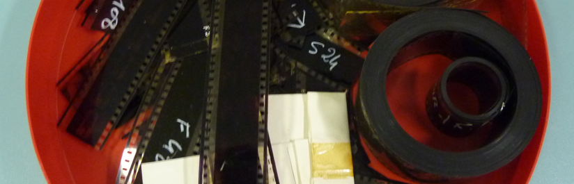 Archives Slon/Iskra : « Du bon usage des épluchures »