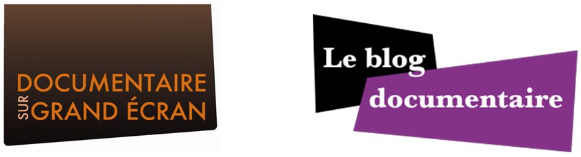 « Visages d’une absente », de Frédéric Goldbronn