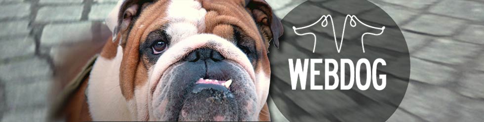 « Webdog », le webdocumentaire qui a du chien